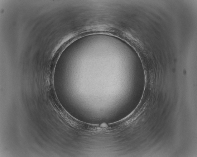 X0000067521166200604101319