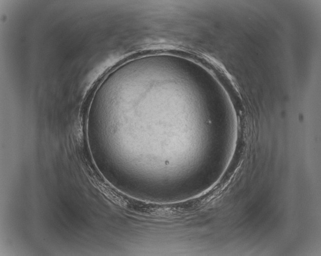 X0000067521167200604101319