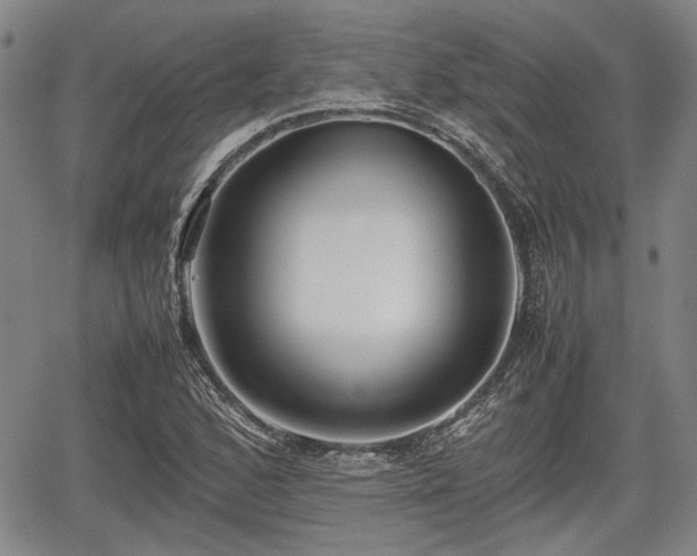 X0000067521168200604101319