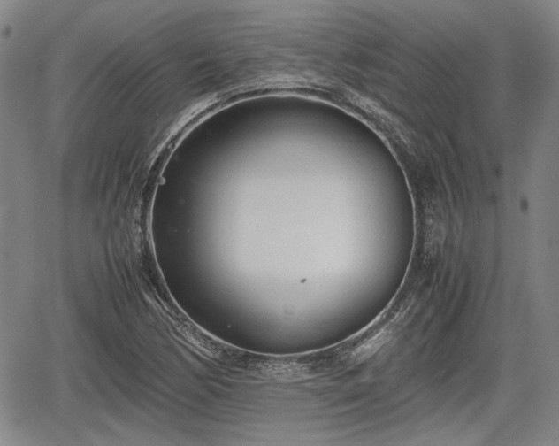 X0000067521170200604101319