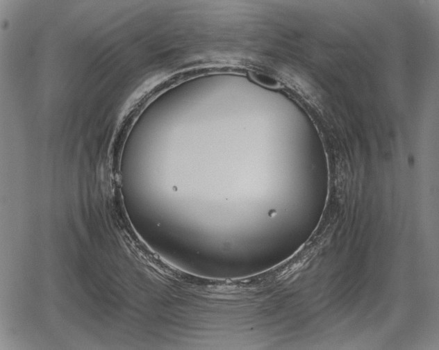 X0000067521172200604101319