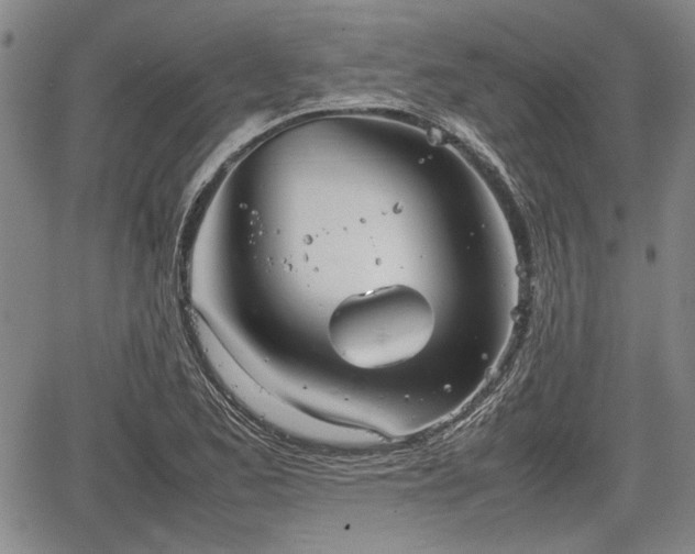 X0000067521173200604101319