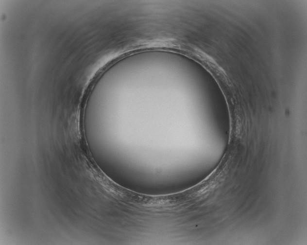 X0000067521174200604101319