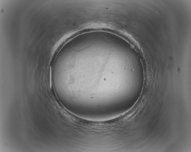 X0000067521175200604101319