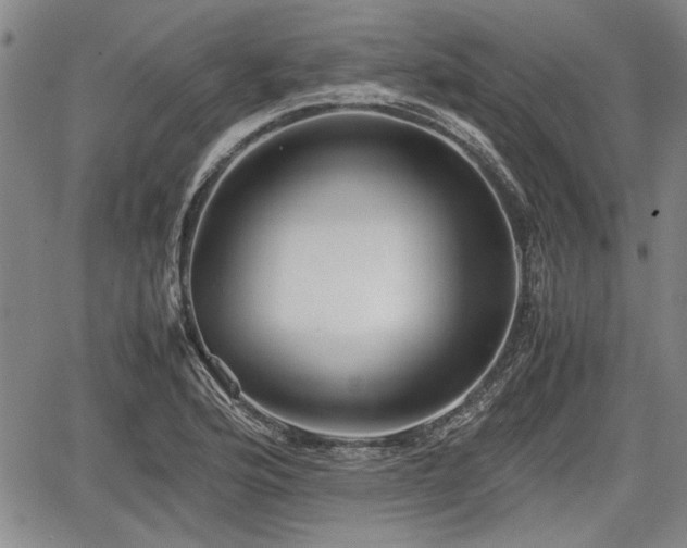 X0000067521176200604101319