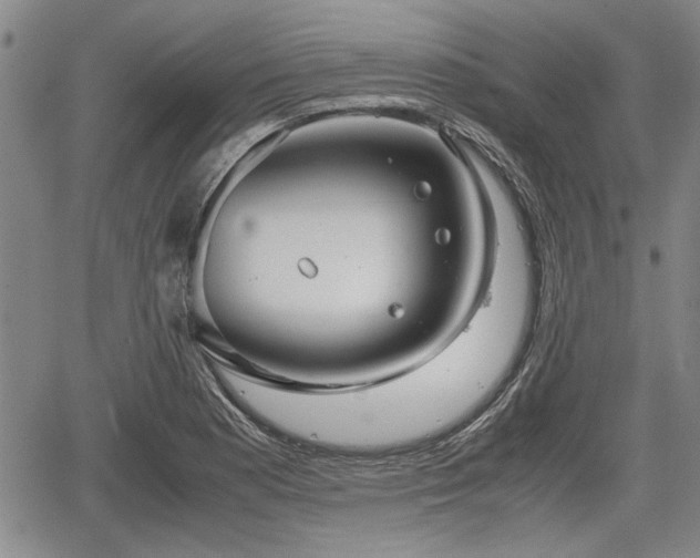 X0000067521177200604101319