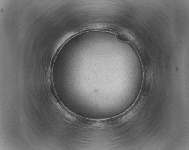 X0000067521178200604101319