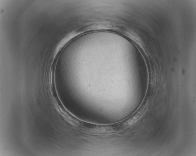 X0000067521179200604101319