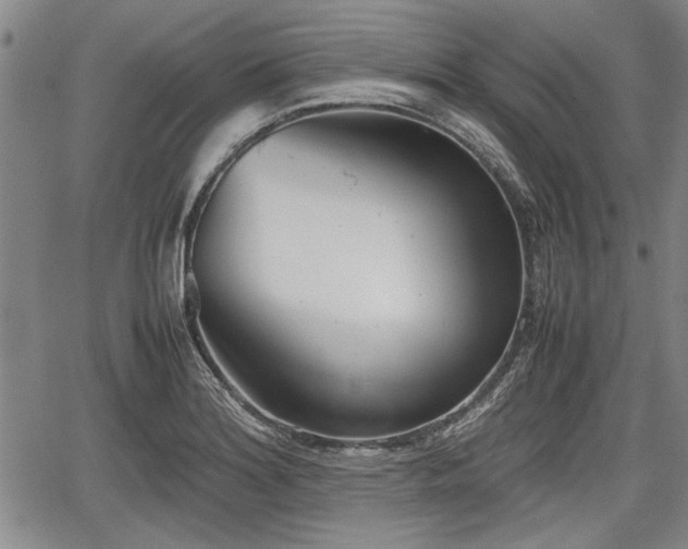 X0000067521180200604101319