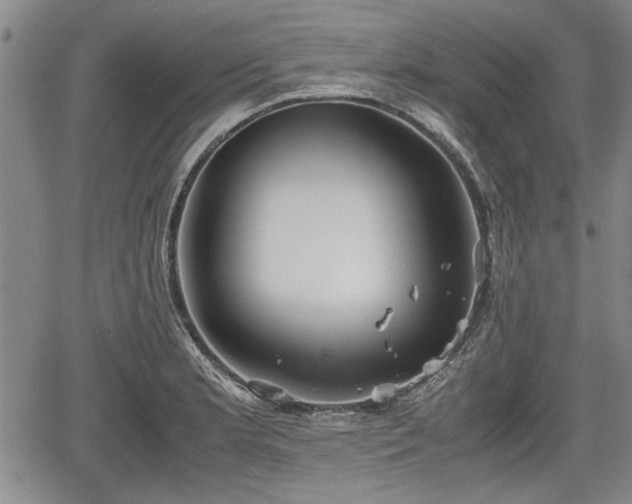 X0000067521181200604101319