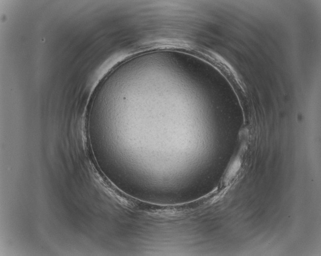 X0000067521182200604101319