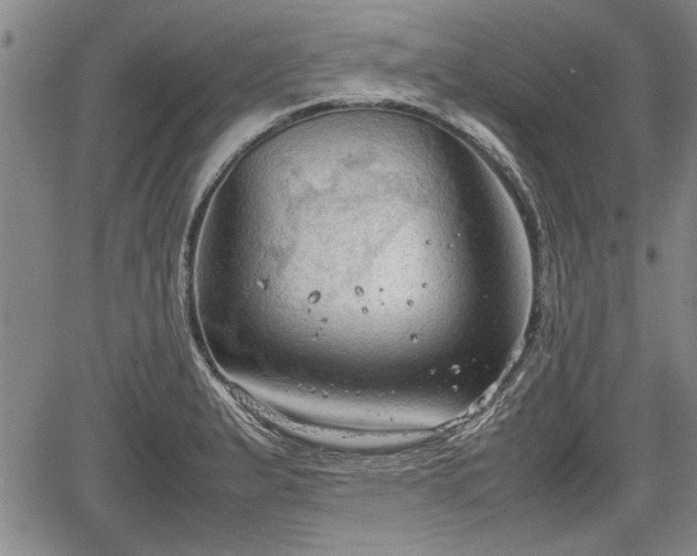 X0000067521183200604101319