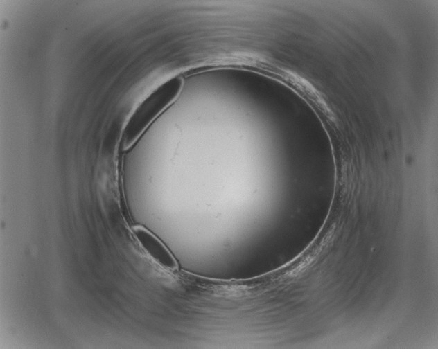 X0000067521184200604101319