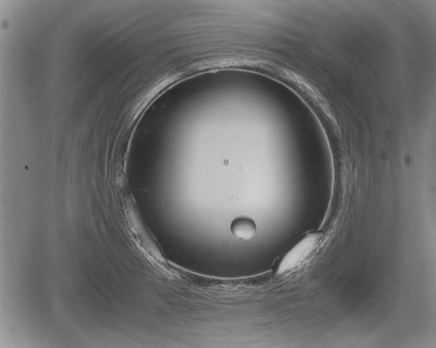 X0000067521185200604101319