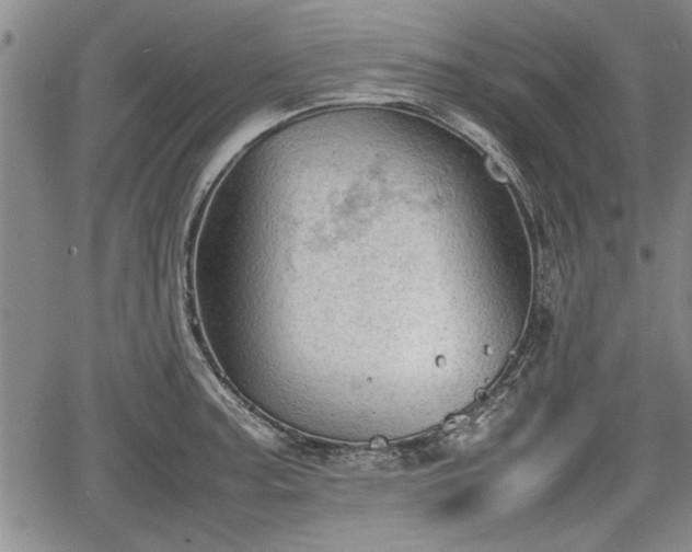 X0000067521187200604101319