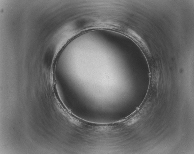 X0000067521188200604101319