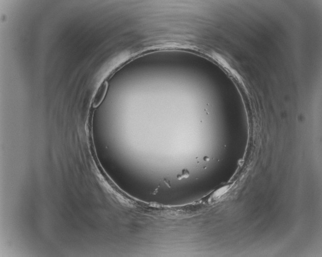 X0000067521189200604101319