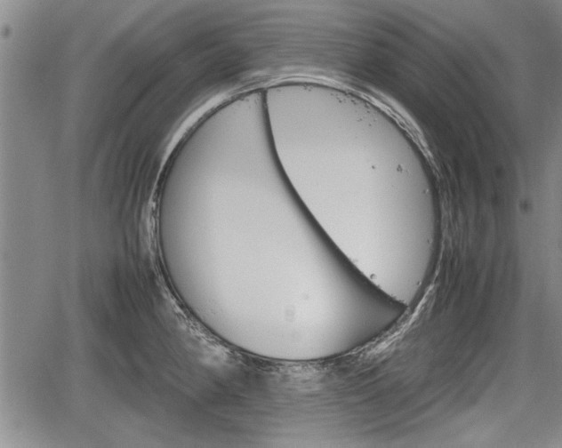 X0000067521190200604101319