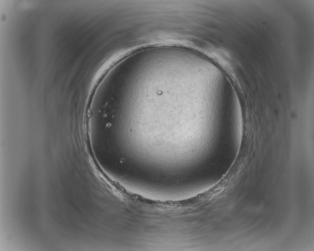 X0000067521191200604101319