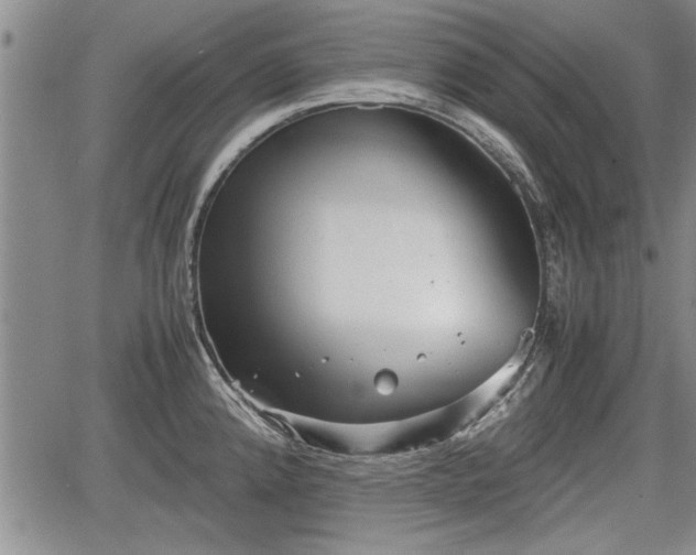 X0000067521192200604101319