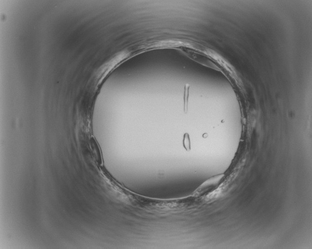 X0000067521193200604101319