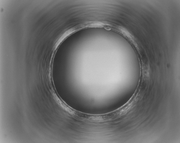 X0000067521194200604101319