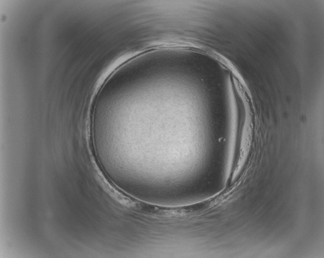 X0000067521195200604101318