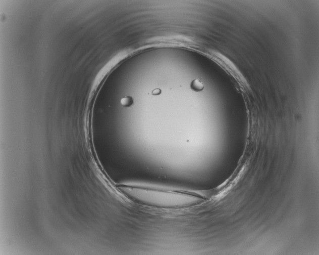 X0000067521196200604101318