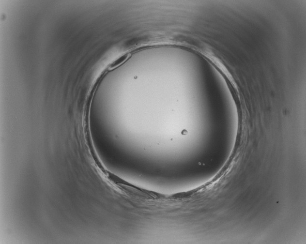 X0000067521197200604101318