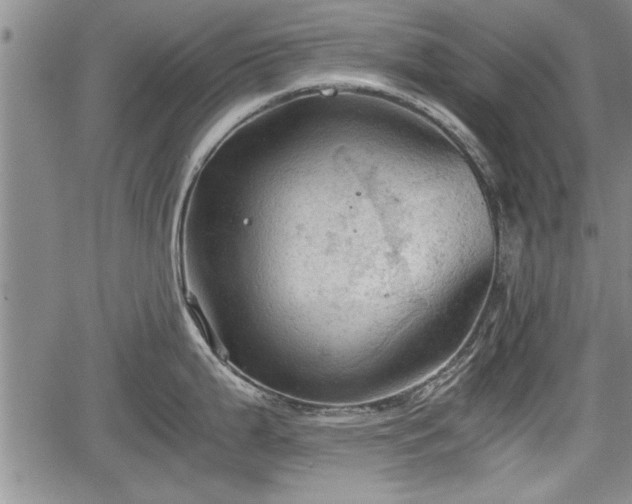 X0000067521199200604101318