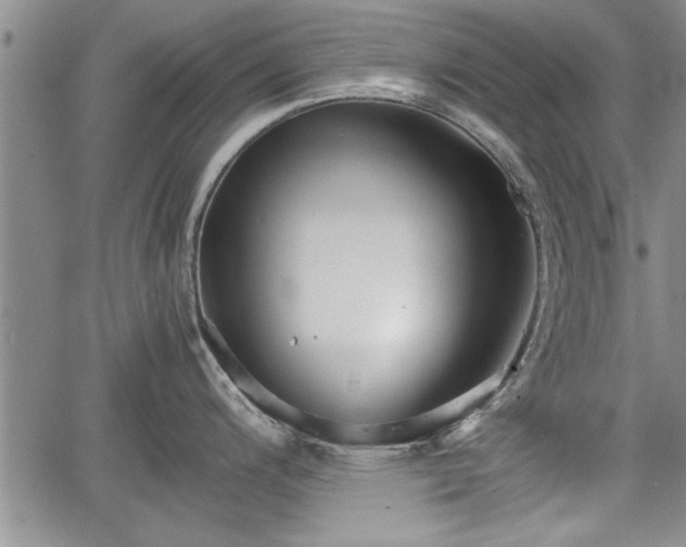 X0000067521200200604101318