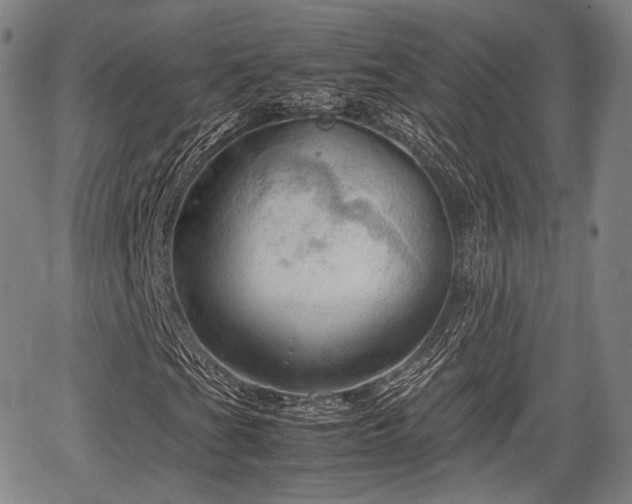 X0000067521201200604101318