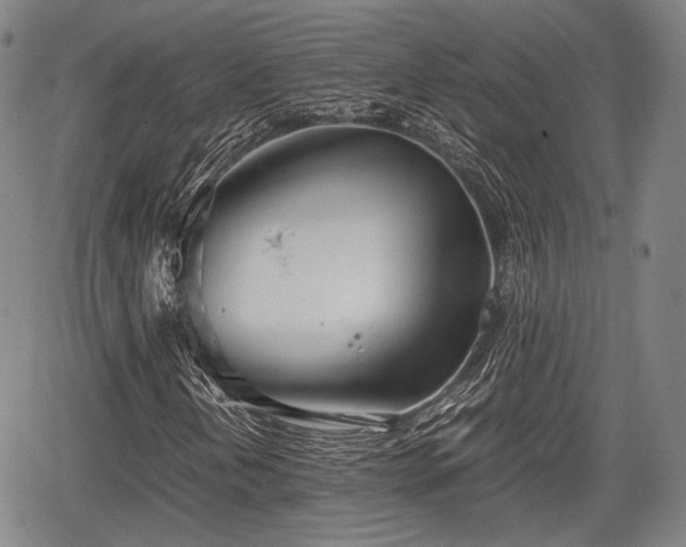 X0000067521202200604101318