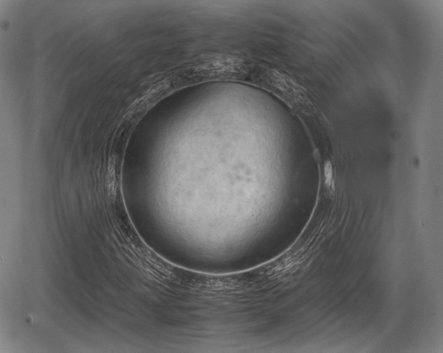 X0000067521203200604101318