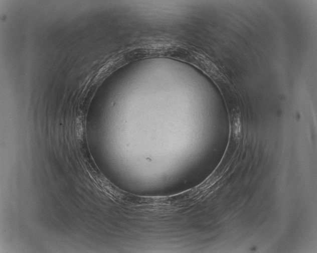 X0000067521204200604101318