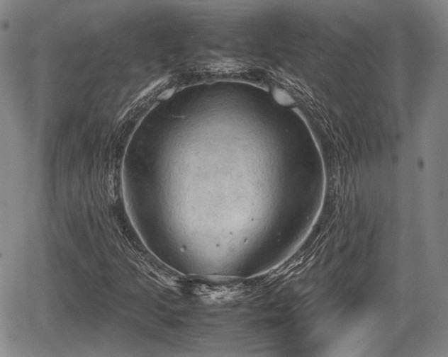 X0000067521205200604101318