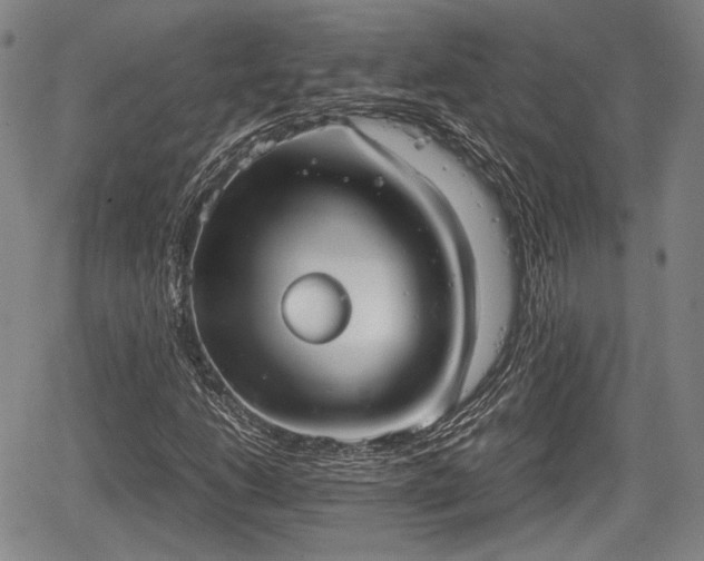 X0000067521206200604101318