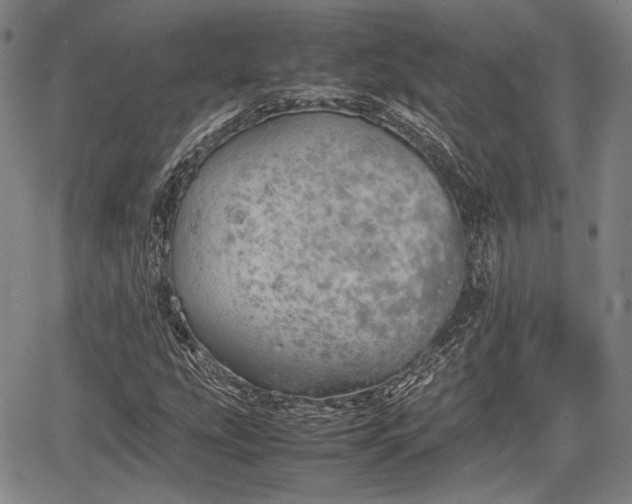 X0000067521207200604101318