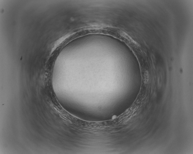 X0000067521208200604101318