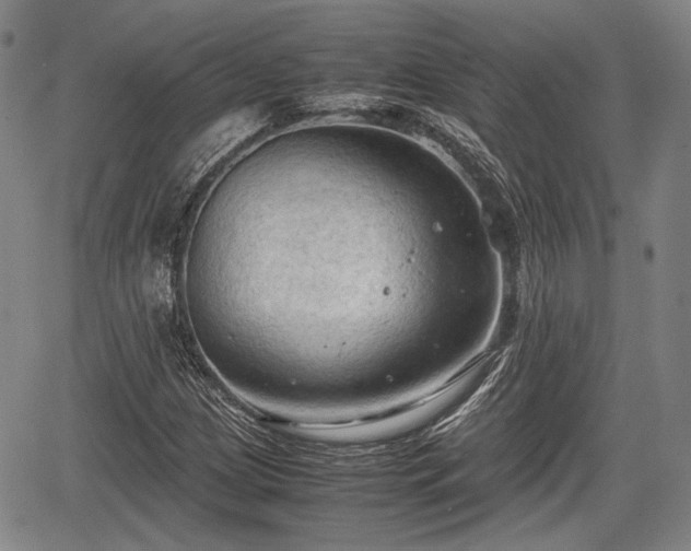 X0000067521209200604101318