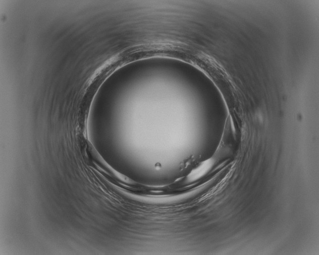 X0000067521210200604101318