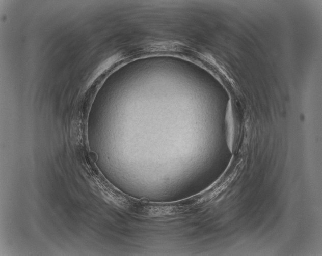 X0000067521211200604101318