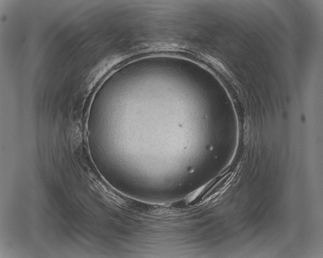 X0000067521212200604101318