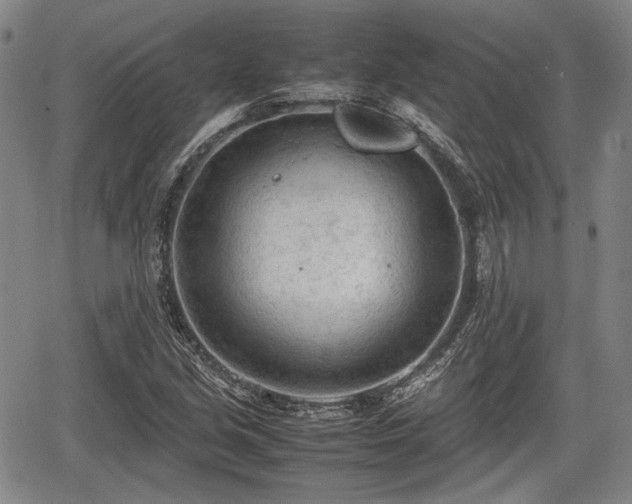 X0000067521213200604101318