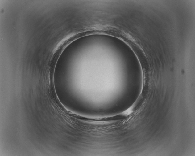 X0000067521214200604101318