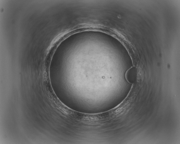 X0000067521215200604101318