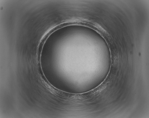 X0000067521216200604101318