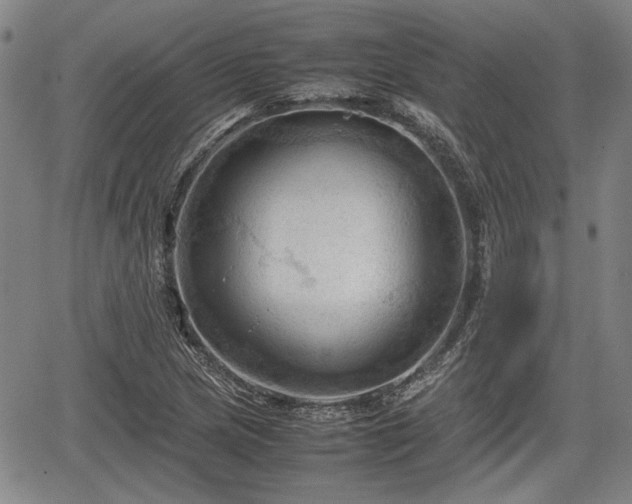 X0000067521217200604101318