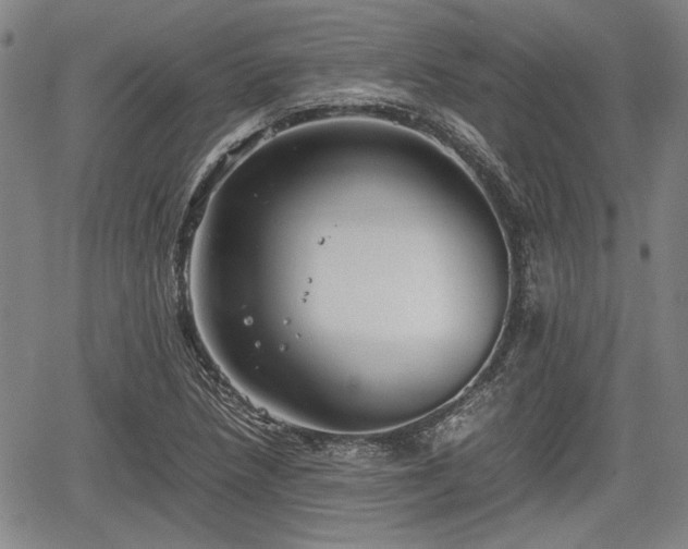 X0000067521218200604101318