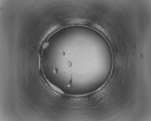 X0000067521219200604101318